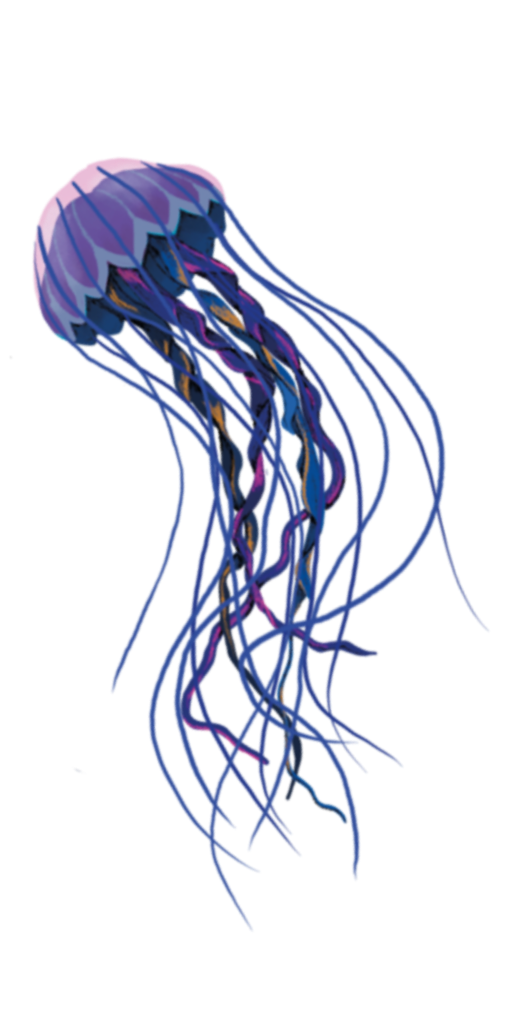 jellfish